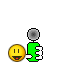 pro