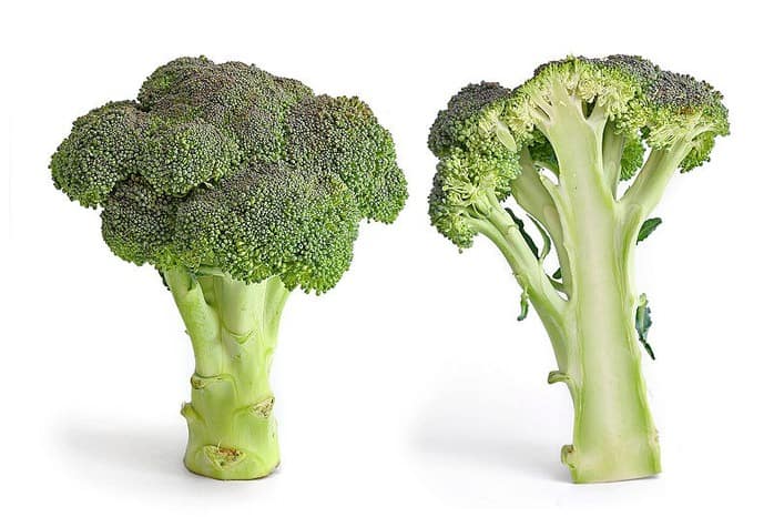 I broccoli attenuano gli  effetti dell’inquinamento ✿
