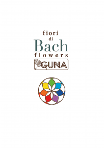 Logo-Bach