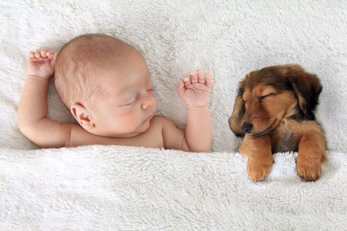 I Bambini e gli animali domestici ✿