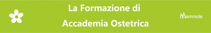 banner accademia